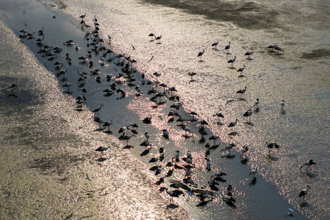 Gurbetçiler göç yolunda! Molayı Konya'da verdiler 2